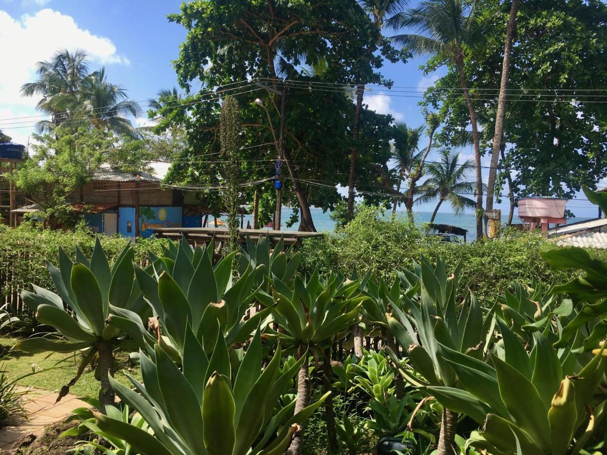 Apartamento Concha Tropical Flat Itacaré Exterior foto